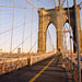 NY023