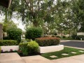 Front yard