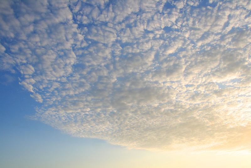 APS-01