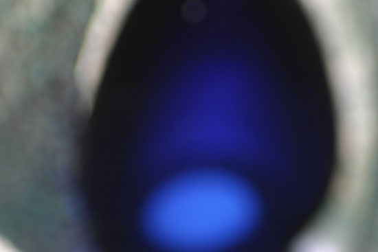 CB-01
