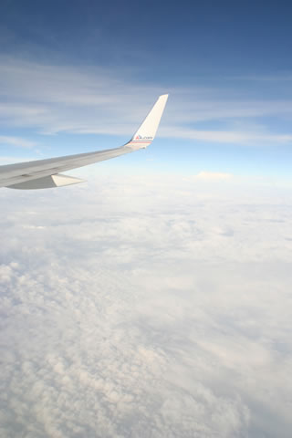 IF-20